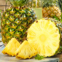 无码八A片人妻少妇久久