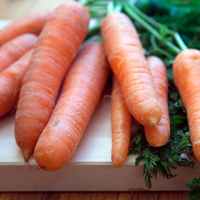 无码八A片人妻少妇久久