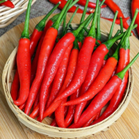 无码八A片人妻少妇久久