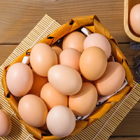 无码八A片人妻少妇久久