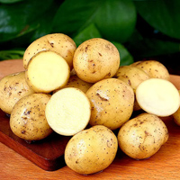 无码八A片人妻少妇久久