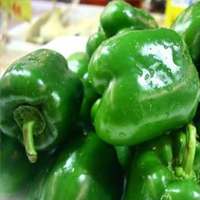 无码八A片人妻少妇久久