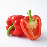 无码八A片人妻少妇久久