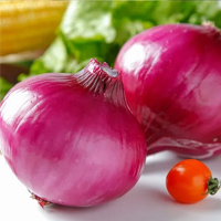 无码八A片人妻少妇久久