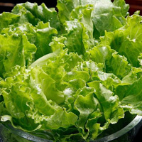 无码八A片人妻少妇久久