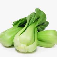 无码八A片人妻少妇久久