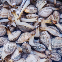 无码八A片人妻少妇久久