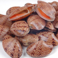 无码八A片人妻少妇久久