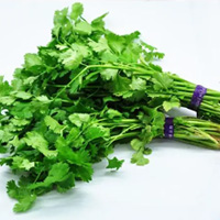 无码八A片人妻少妇久久