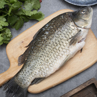 无码八A片人妻少妇久久