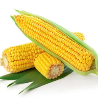 无码八A片人妻少妇久久