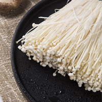 无码八A片人妻少妇久久