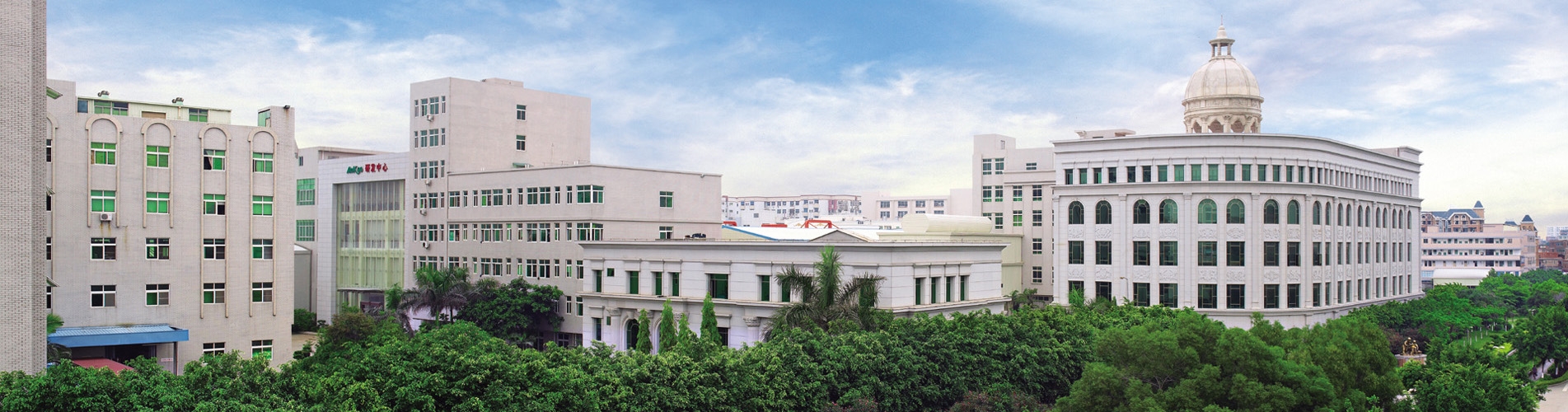 无码八A片人妻少妇久久